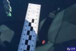 Toyota Yaris 1.5 MR`17 E6c Aukcja 287303 - grafika 77
