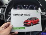 Skoda RAPID  Aukcja 287097 - grafika 100