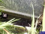 Volkswagen Crafter 35 TDI-CR MR`17 E6 3.5t Aukcja 289187 - grafika 111
