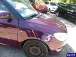 Skoda Fabia DE - LimS5 1.2 EU5, Fresh, 201 Aukcja 286454 - grafika 69