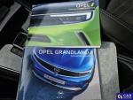 Opel Grandland Grandland 1.2 T GS Light S&S aut Aukcja 288018 - grafika 18