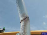 Liebherr L556  Aukcja 288567 - grafika 83