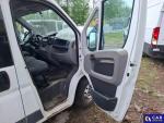 Fiat Ducato  Aukcja 288838 - grafika 30
