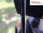 Kia Sorento 2.2 CRDi XL 4WD DCT 7os. Aukcja 288741 - grafika 60