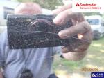 Kia Sorento 2.2 CRDi XL 4WD DCT 7os. Aukcja 288741 - grafika 80