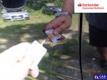 Kia Sorento 2.2 CRDi XL 4WD DCT 7os. Aukcja 288741 - grafika 87