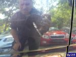 Renault Megane 1.6 16V RXE Aukcja 288946 - grafika 121