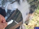 Volkswagen Golf VII Variant 1.6 TDI MR`17 E6 Aukcja 293645 - grafika 37
