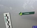 Skoda Fabia 1.4 TDI Ambition Aukcja 291856 - grafika 43