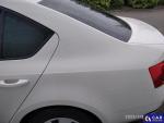 Skoda Octavia III 1.0 TSI MR`18 E6 Aukcja 291904 - grafika 25