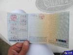 Jiayuan Eidola  Aukcja 291225 - grafika 74