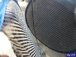 Renault Megane DE - Kb5 1.6 16V 110 EU5, Gran Aukcja 291125 - grafika 63