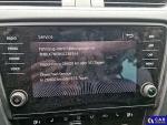 Skoda Octavia Scout 4x4 Aukcja 291483 - grafika 7