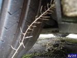 Skoda Octavia III 1.6 TDI-CR MR`18 E6 Aukcja 293804 - grafika 57