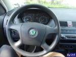 Skoda Fabia DE - LimS5 1.4 16V EU4, Cool E Aukcja 292019 - grafika 19