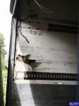 Iveco ML 120  Aukcja 292128 - grafika 3