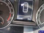 Skoda Octavia III 1.6 TDI-CR MR`18 E6 Aukcja 292391 - grafika 10