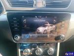 Skoda Superb III 2.0 TDI MR`20 E6d Aukcja 315434 - grafika 63
