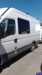 Iveco Daily  Aukcja 315051 - grafika 5
