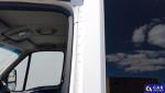 Iveco Daily  Aukcja 315051 - grafika 57