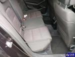 Volkswagen Passat  Aukcja 315119 - grafika 148