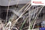 Ford Transit Custom 300 L2H1 Ambiente Aukcja 316412 - grafika 44