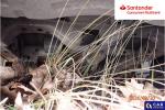 Ford Transit Custom 300 L2H1 Ambiente Aukcja 316412 - grafika 46