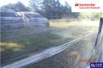 BMW X5 xDrive25d Aukcja 316413 - grafika 192