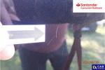 Renault Trafic Grand Passenger 3,0t Pack Clim Aukcja 316415 - grafika 148