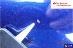 Ford Mondeo 2.0 TDCi Trend PowerShift Aukcja 316417 - grafika 91