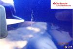 Ford Mondeo 2.0 TDCi Trend PowerShift Aukcja 316417 - grafika 122