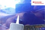 Ford Mondeo 2.0 TDCi Trend PowerShift Aukcja 316417 - grafika 150