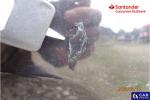 Volvo XC 60 D4 AWD Inscription aut Aukcja 316422 - grafika 98